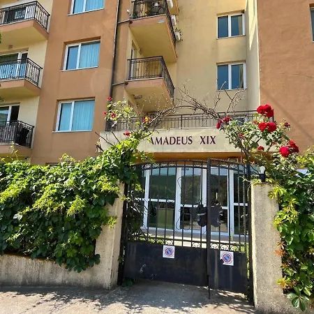 Amadeus I 25 Sunny *