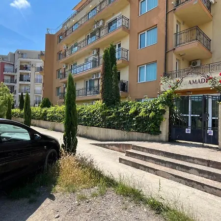 Amadeus I 25 Sunny *